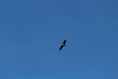 2024:08:13 09:03:13